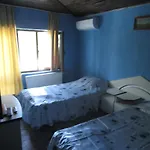 Papagal * Warna