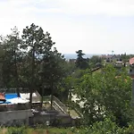 Hostel Papagal Warna