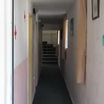 Papagal Hostel