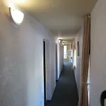 Hostel Papagal *