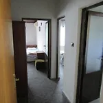 Papagal Hostel