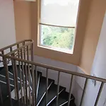 Hostel Papagal Warna