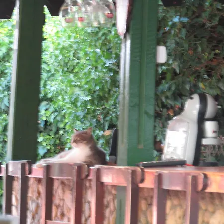 Hostel Papagal Βάρνα