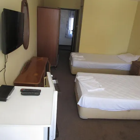Papagal Albergue *