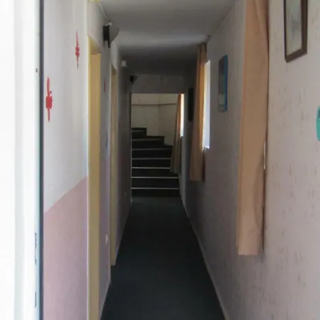 Papagal Albergue