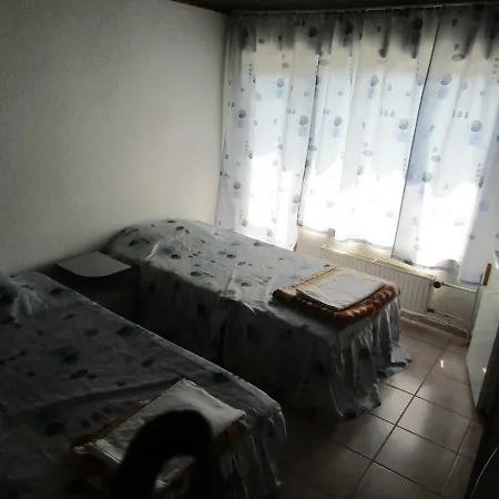Papagal Albergue *
