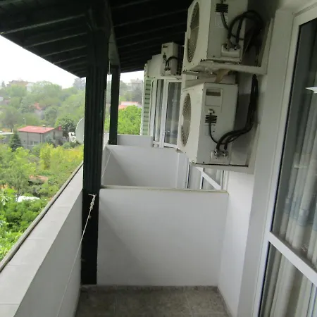 Papagal Albergue