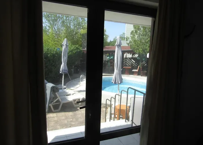 Papagal * Βάρνα