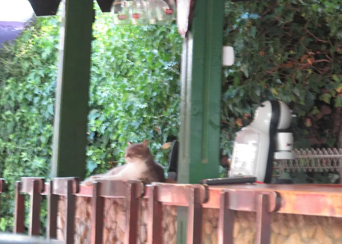 Hostel Papagal Βάρνα