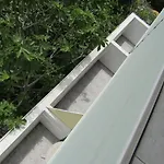 Papagal Albergue