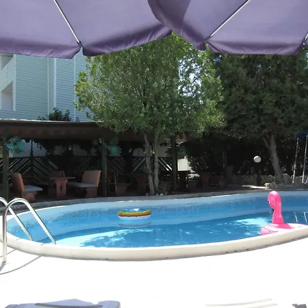 Hostel Papagal