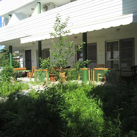 Papagal Hostel *