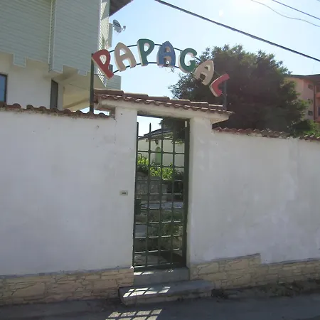 Hostel Papagal *