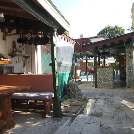 Papagal Varna